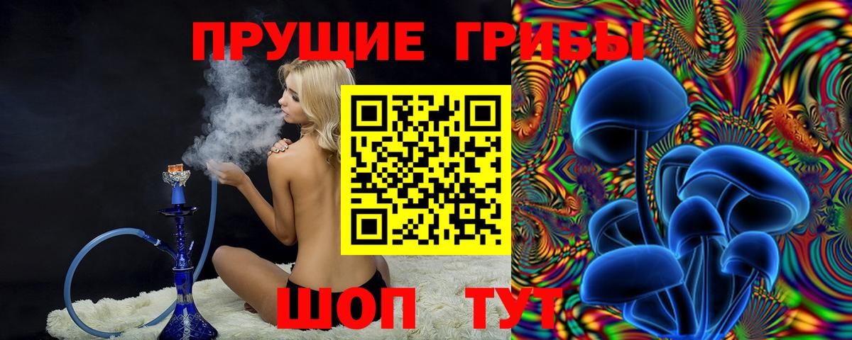 купить наркотик  Псилоцибиновые грибы MAGIC MUSHROOMS  Вход с VPN  Сегежа 
